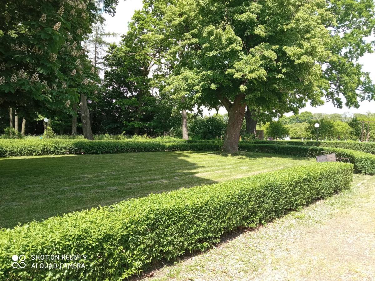 Dwór Strzyżew Zelazowa Wola Exterior foto