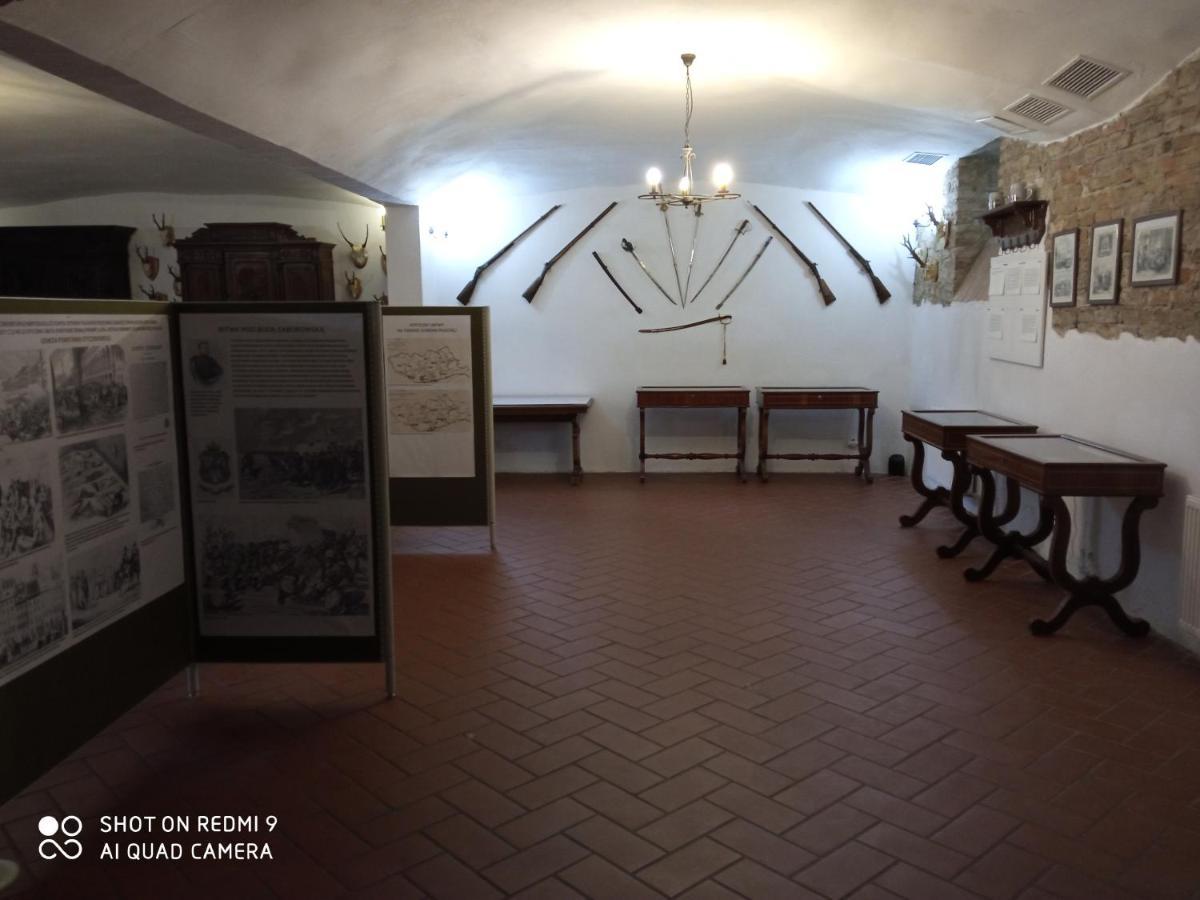 Dwór Strzyżew Zelazowa Wola Exterior foto